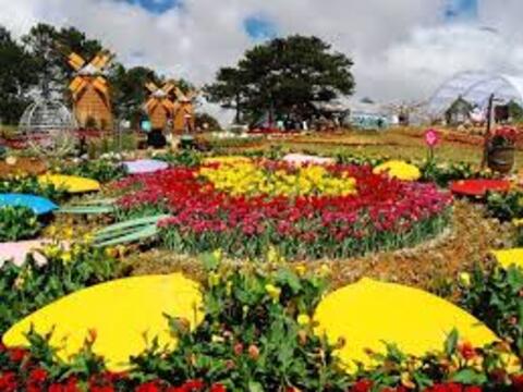 Tin NỔI BẬT